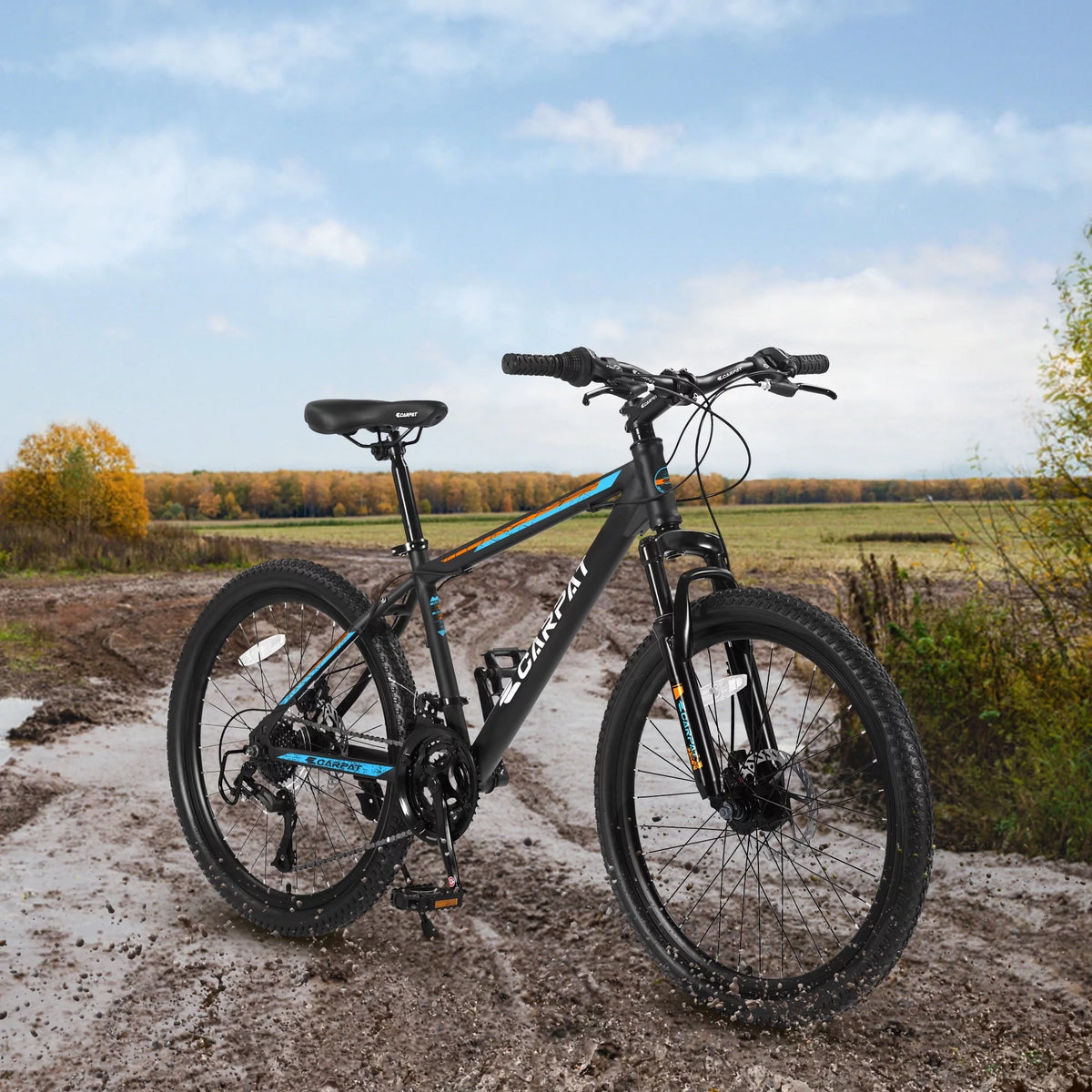 26 Mountain Bike 21 Speeds with Mechanical Disc Brakes T303383