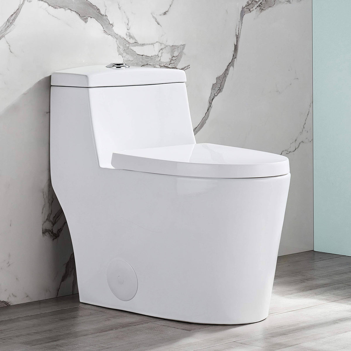 Dual Flush Elongated One Piece Toilet with Soft Close E996585