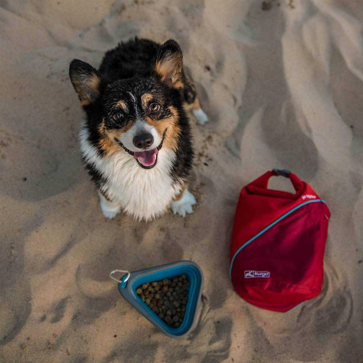 Kibble Carrier F6091