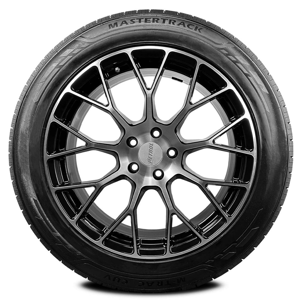 225/55R19 99V All Season Passenger Tire P255