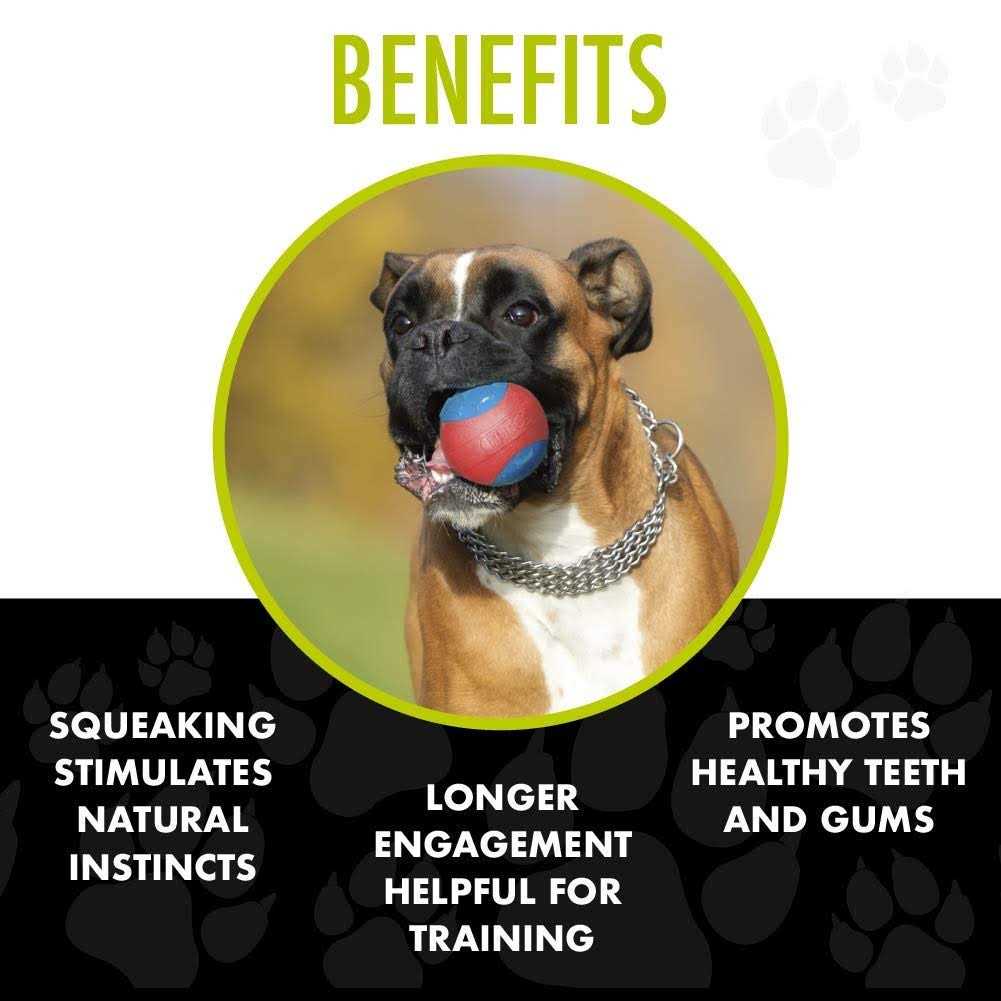 Armor Ball Dog Toy I82306