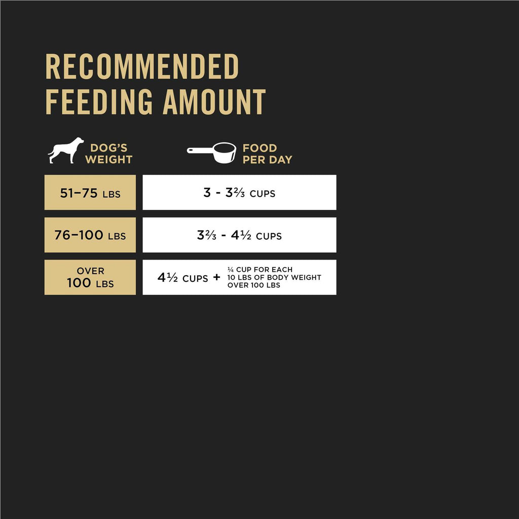 Dry Dog Food K528910