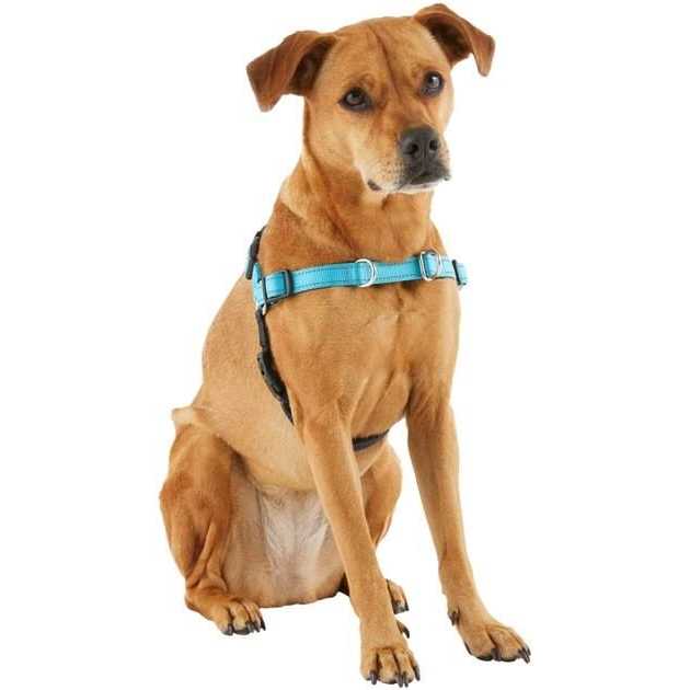 Padded Reflective No Pull Harness M5965