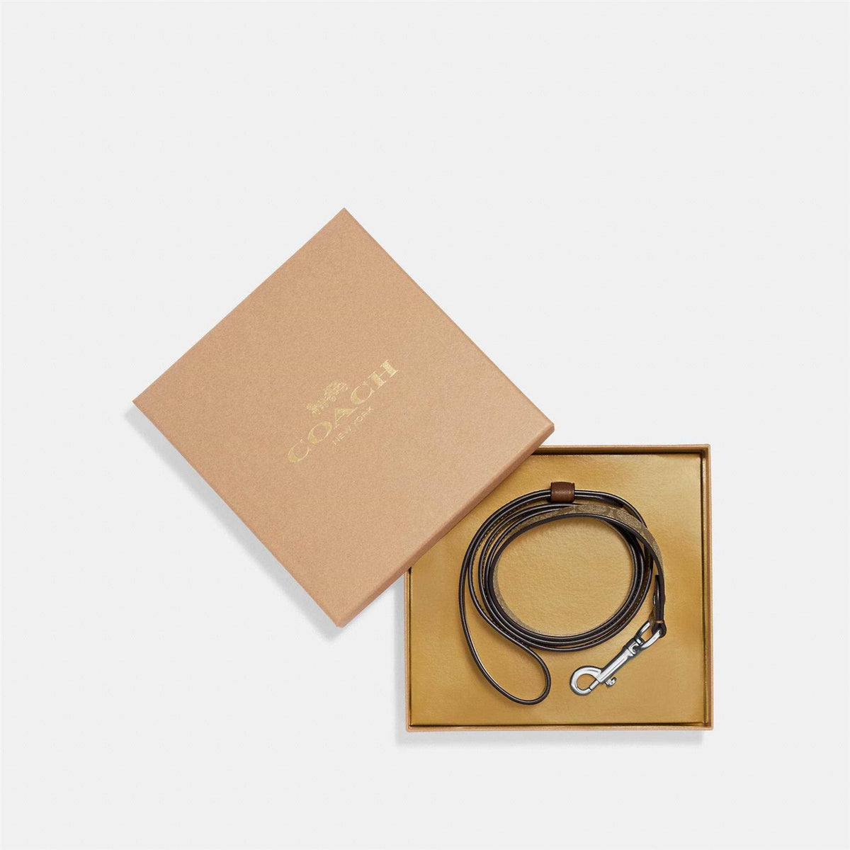 Boxed Pet Leash In Signature Canvas W50073