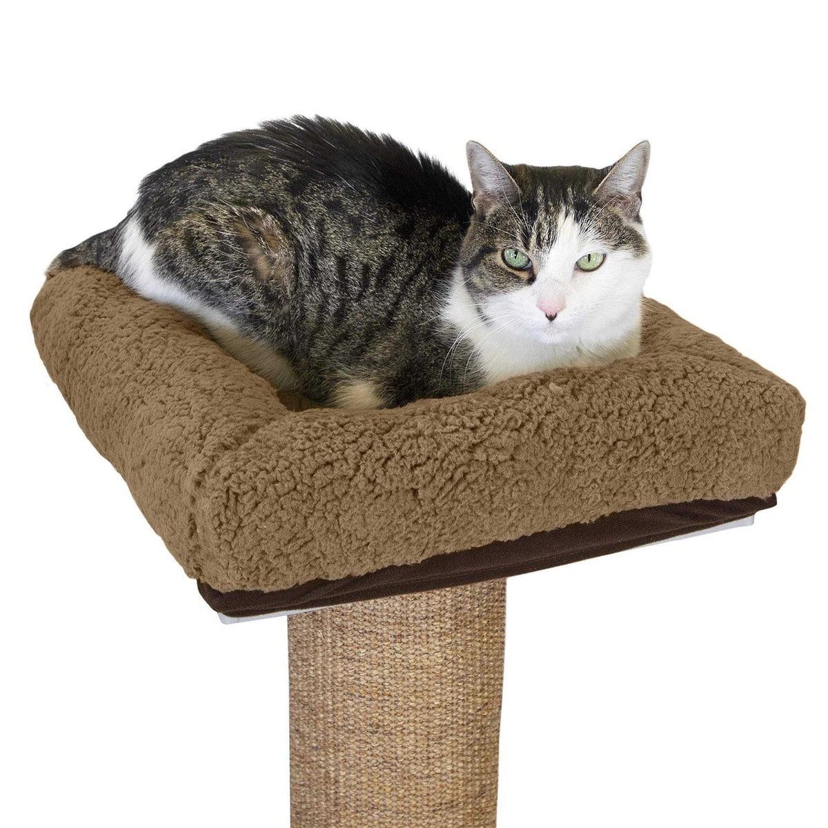 Sisal Post Cat Scratchers and Cushion C63723
