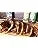 6 Pack Bundle Pourable Marinade W2081