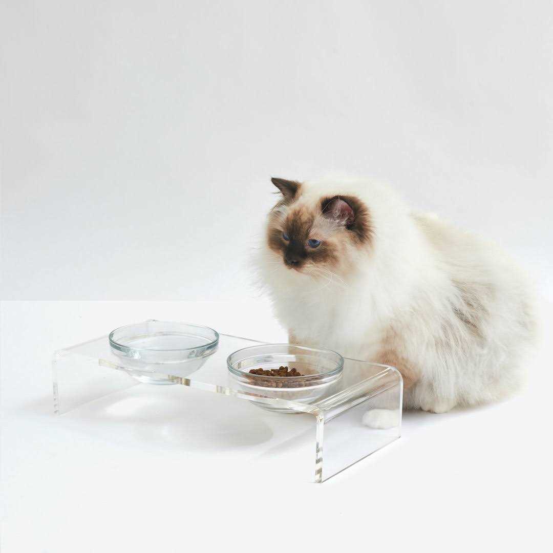 Clear Elevated Glass Bowl Feeder K188