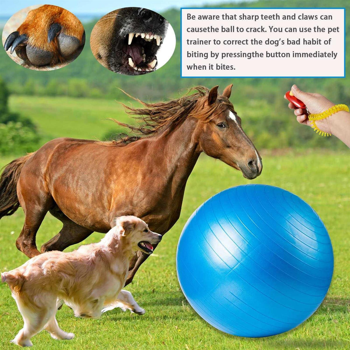 30 Inch Anti-Burst Horse Herding Ball with Pump P10973