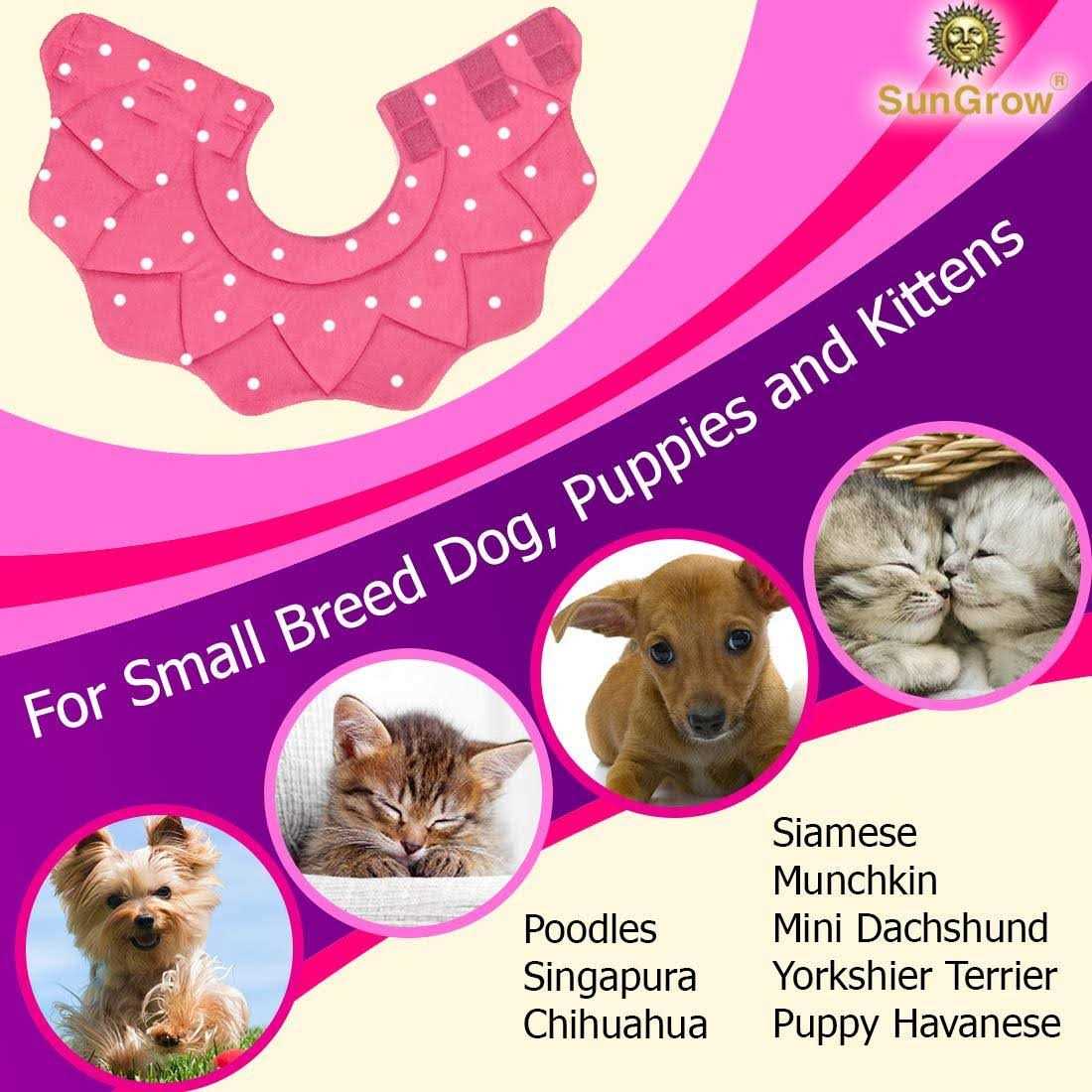 Soft e Collar for Small Dogs & Cats J95542