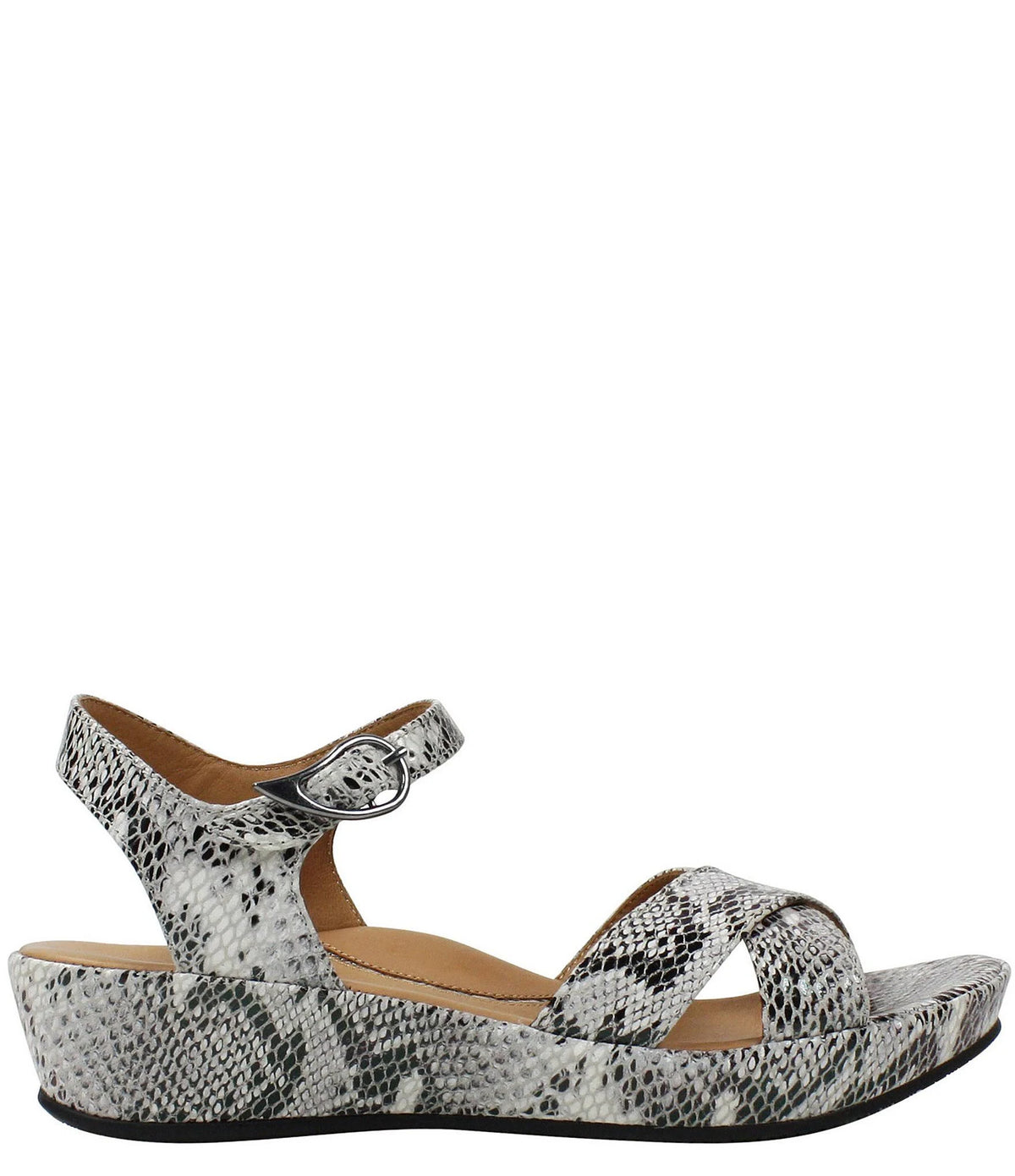 Black/White Snake 8 H536