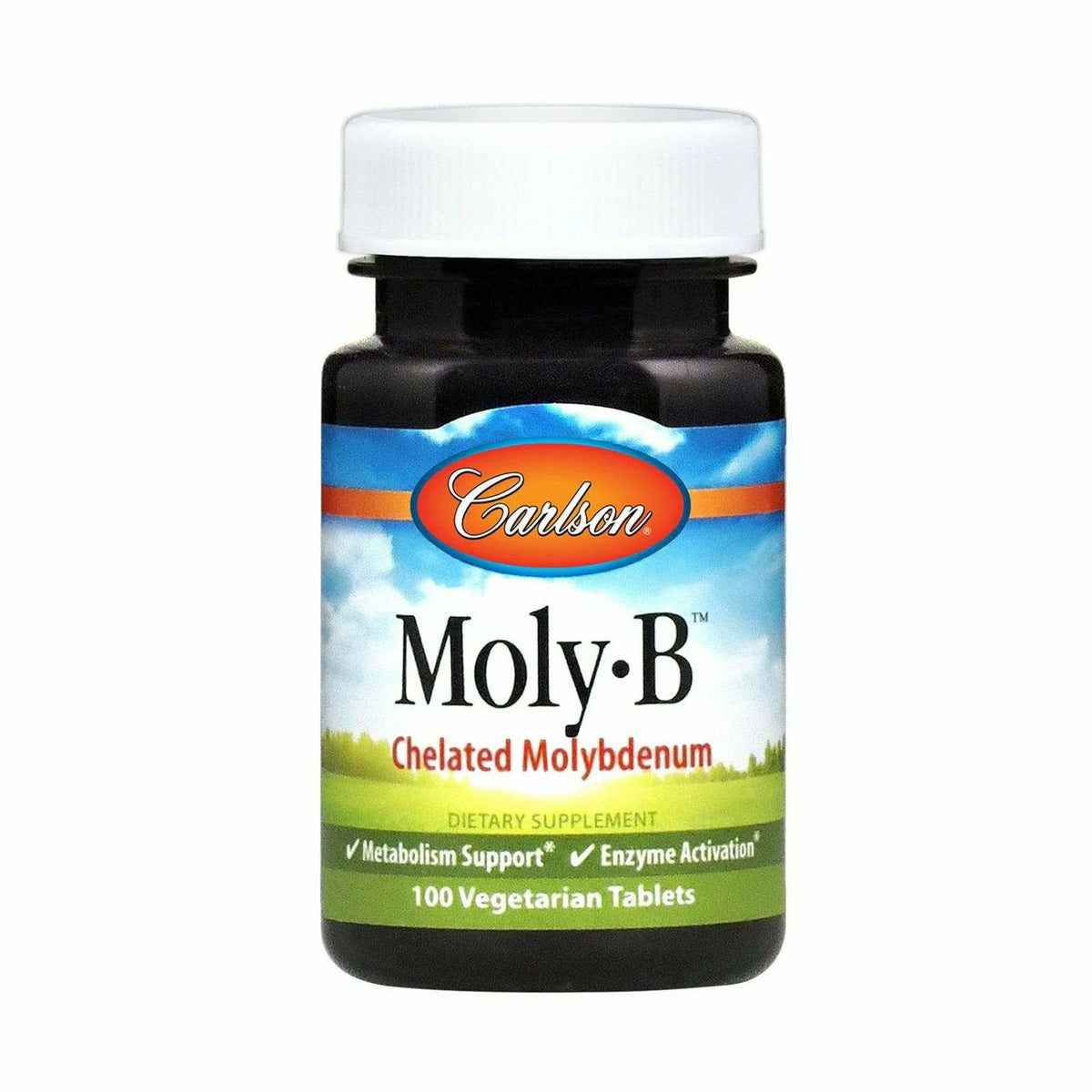 500 mcg 100 tabs Z5067