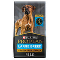Dry Dog Food K528910
