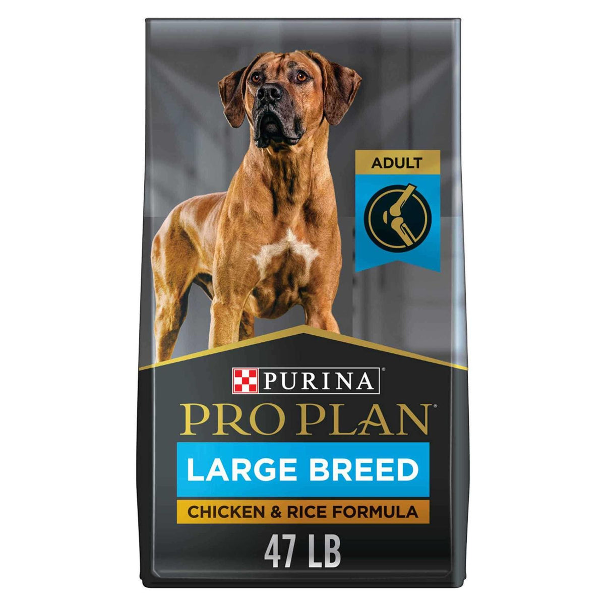 Dry Dog Food K528910