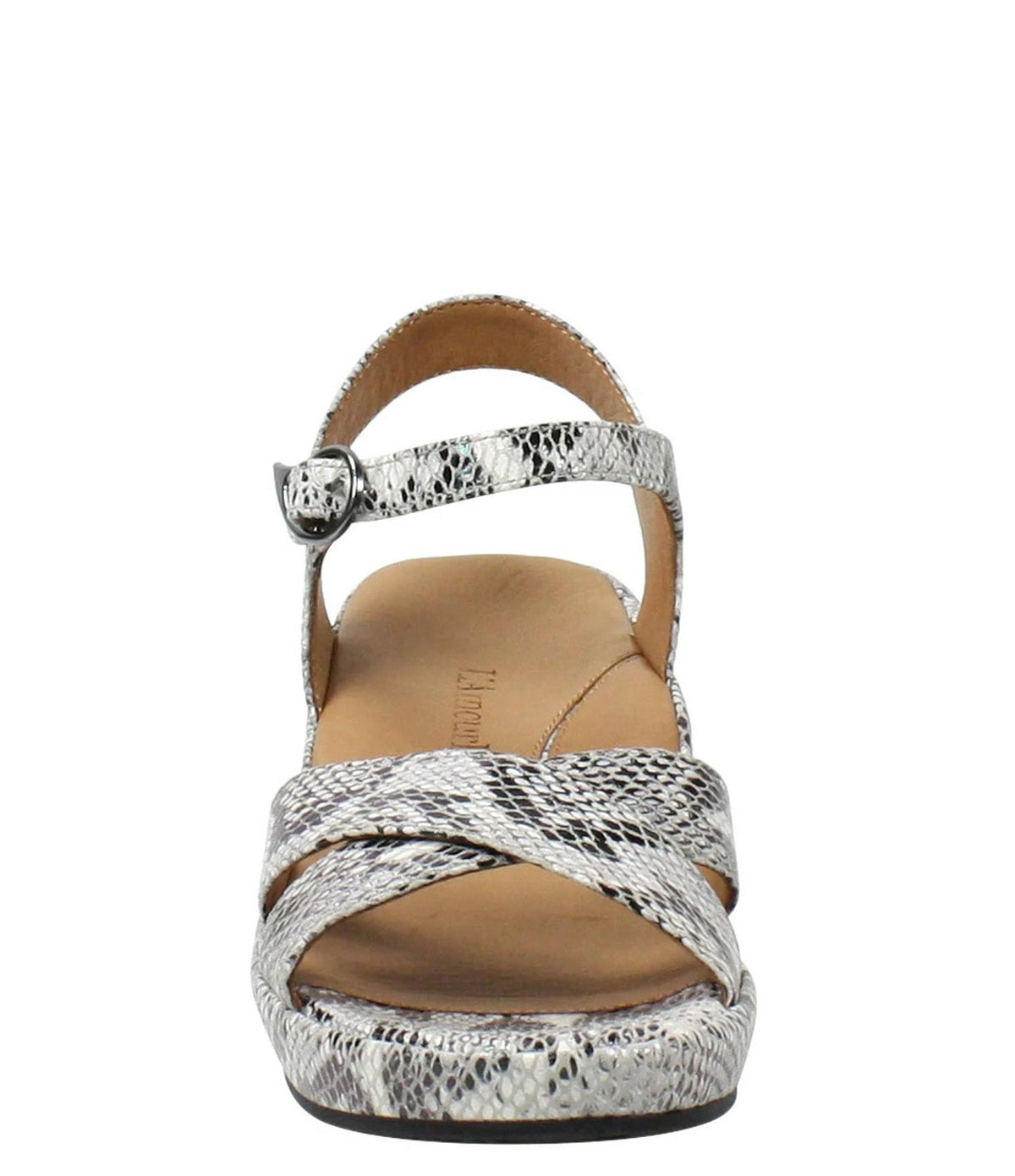 Black/White Snake 8 H536