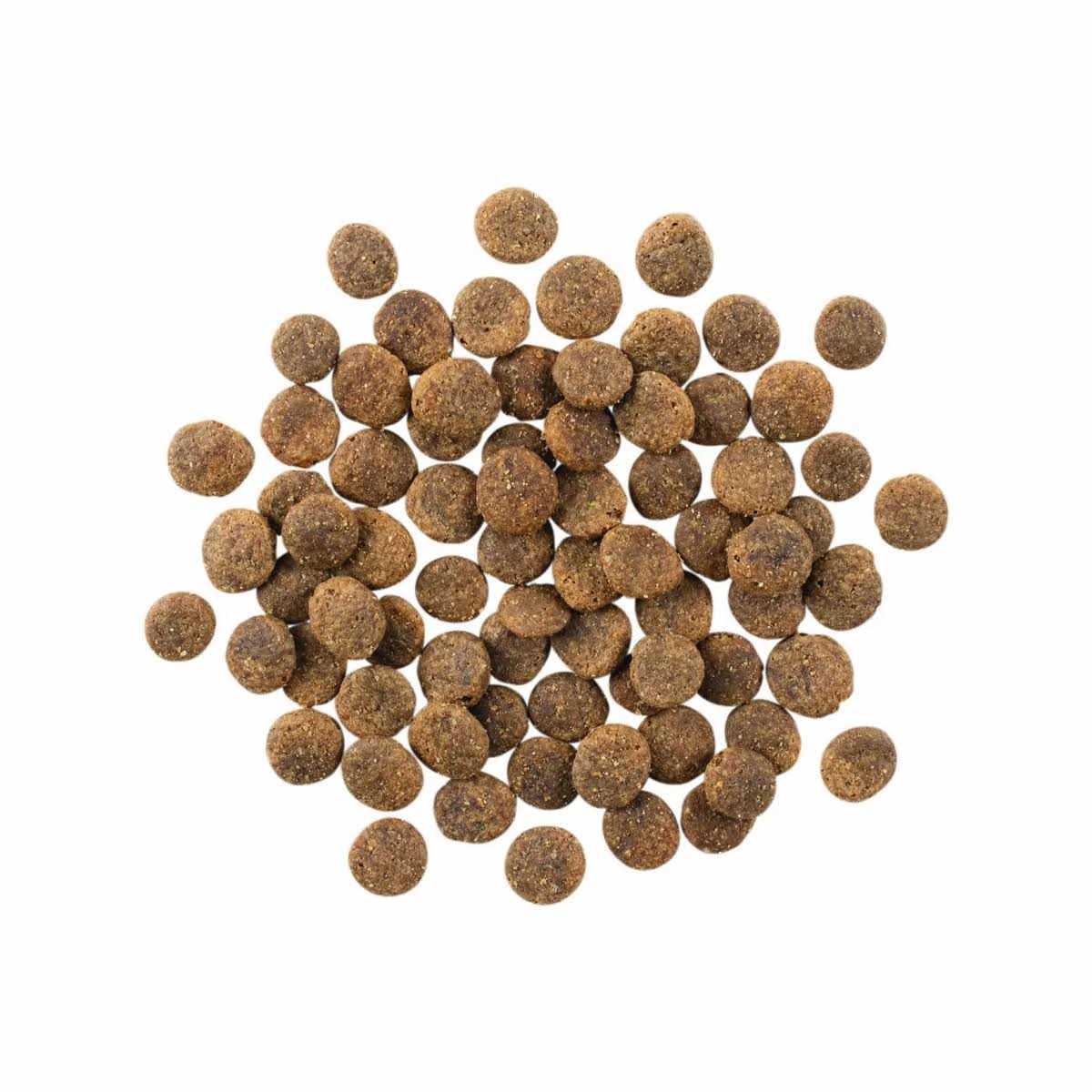 Limited Ingredient Lamb Grain-Free Dry Dog Food V535272