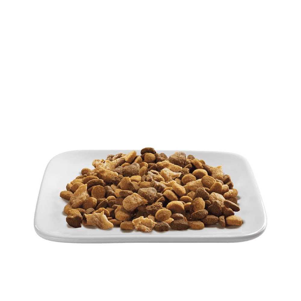 Indoor Hairball Management Turkey & Rice Dry Cat Food J2499