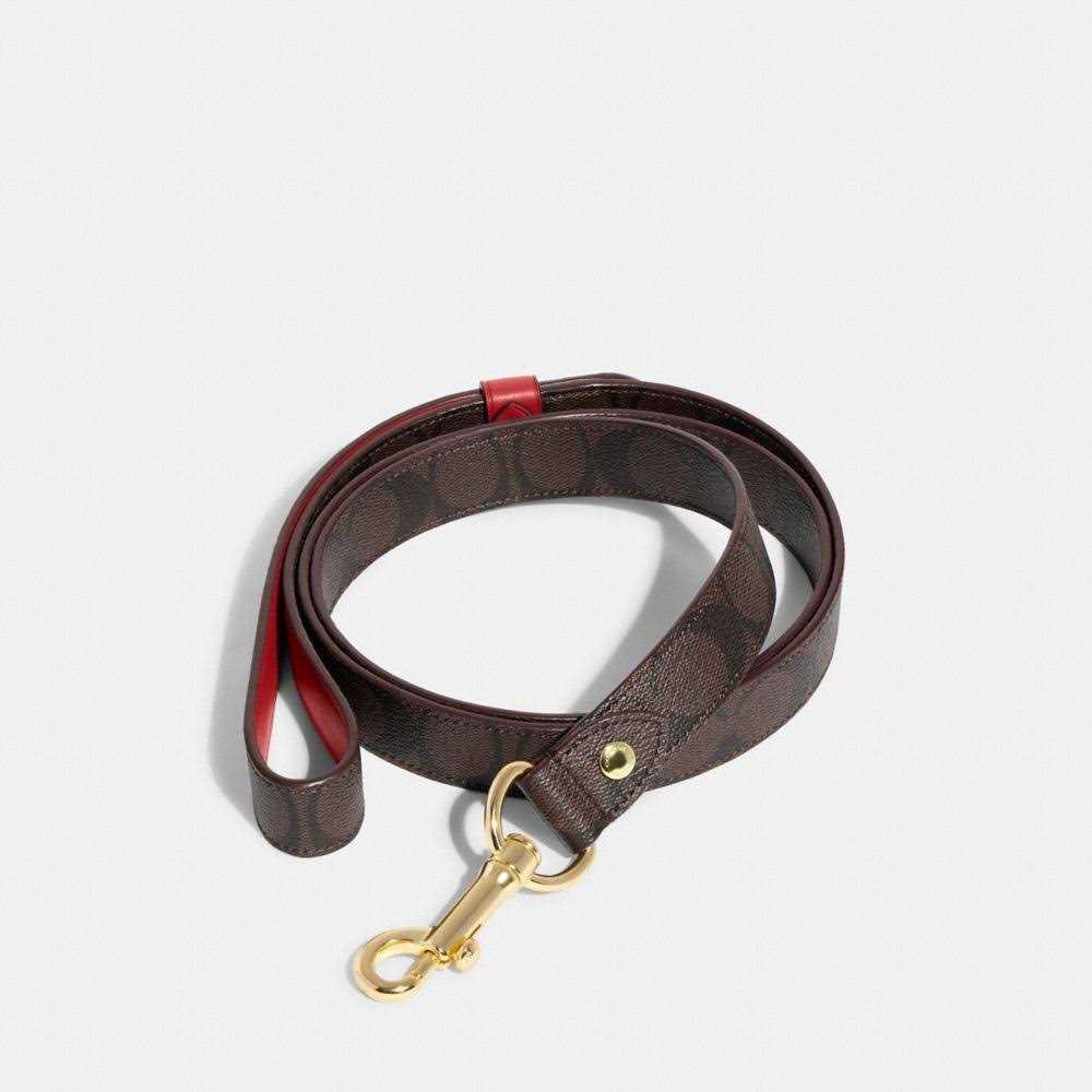 Boxed Pet Leash In Signature Canvas W50073