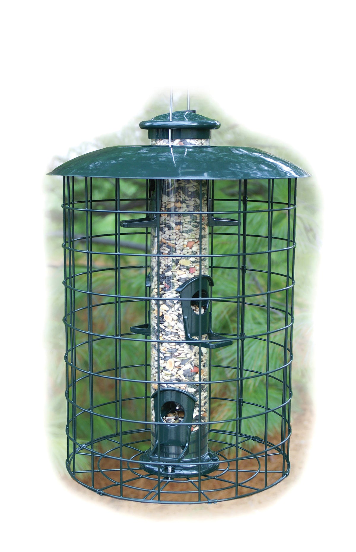Caged 6 Port Seed Tube Feeder M528