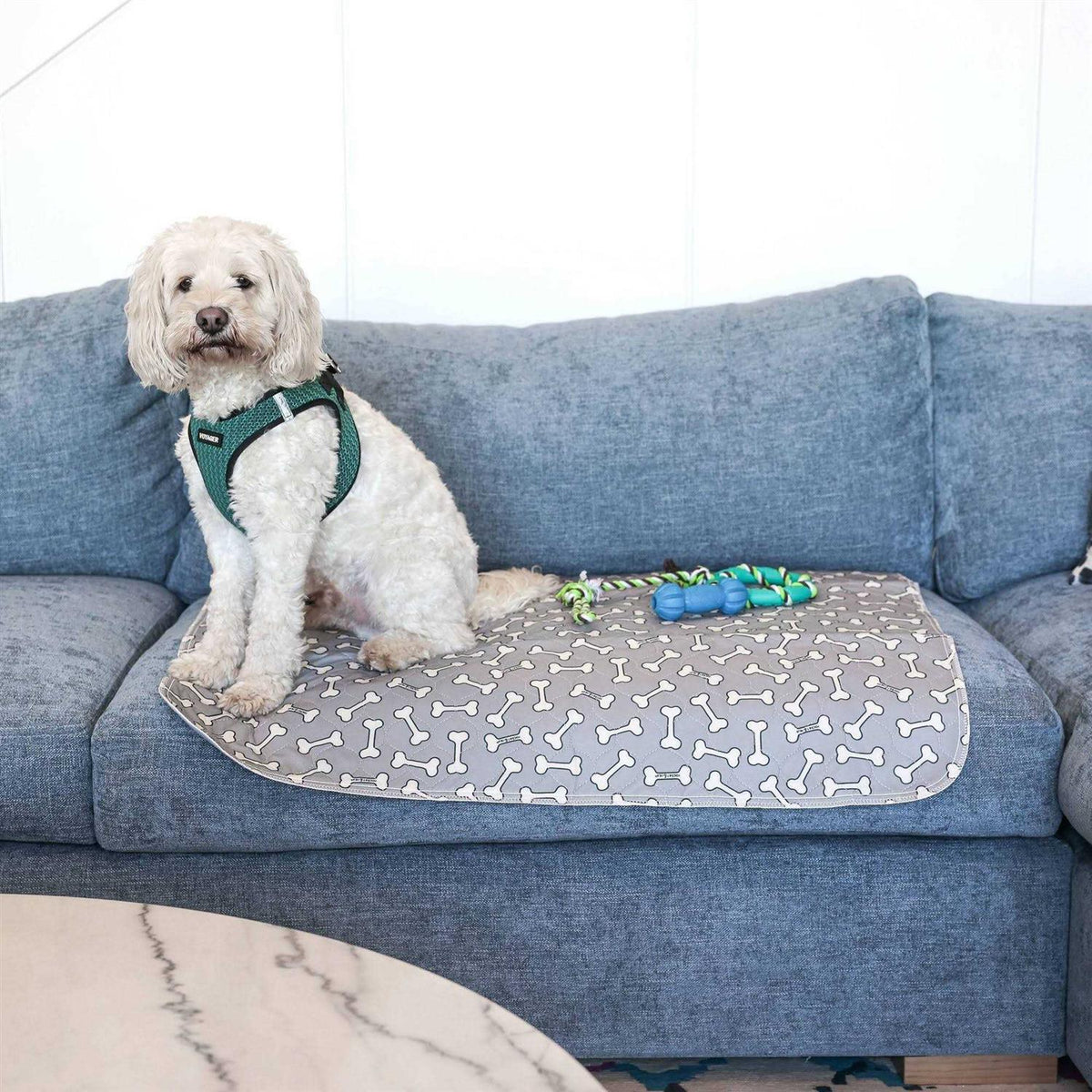 Bone Print Washable Reusable Pee Pads for Dogs W60526