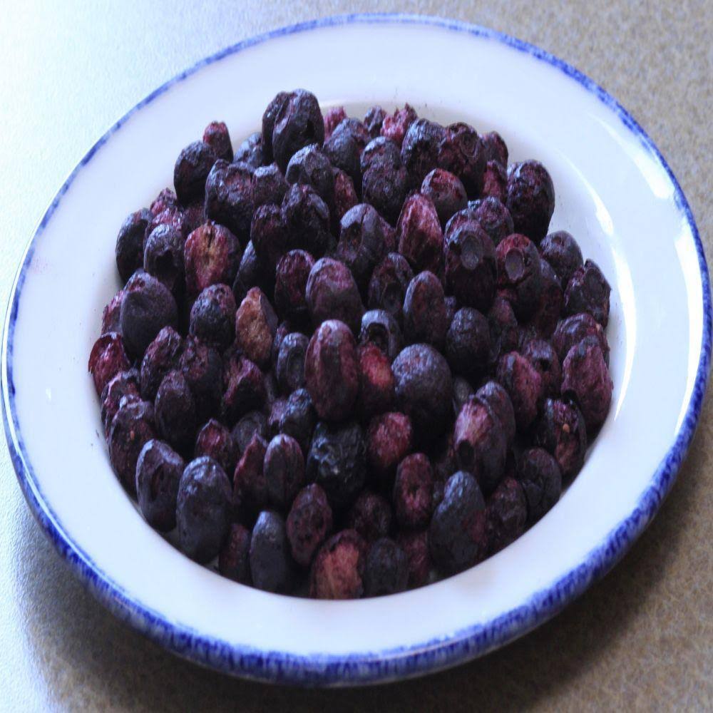 Freeze Dried Blueberries Case Pack M853334