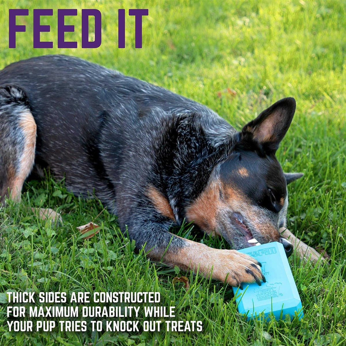 Dog Treat Toy E876