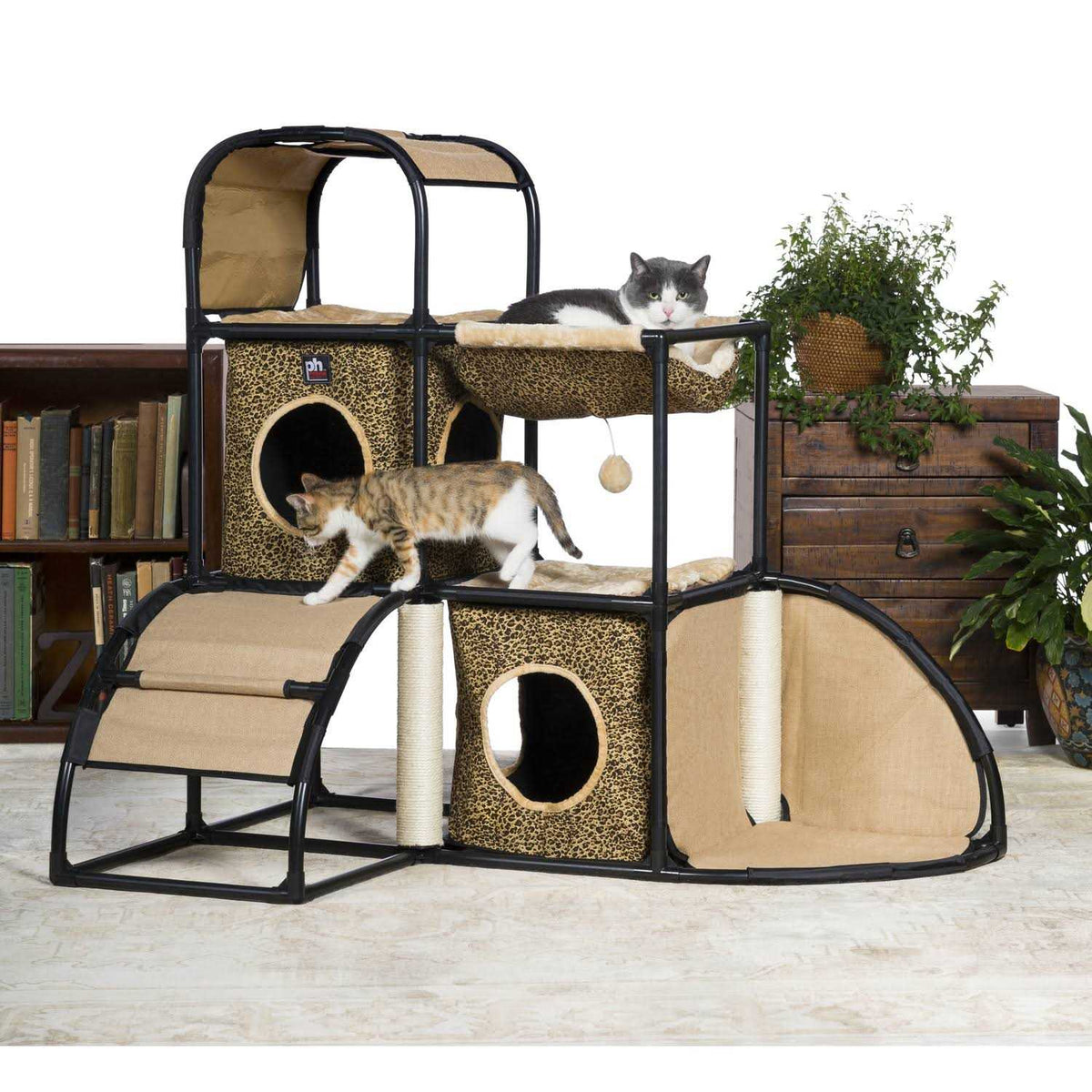 Leopard Print Cat Townhome T49460