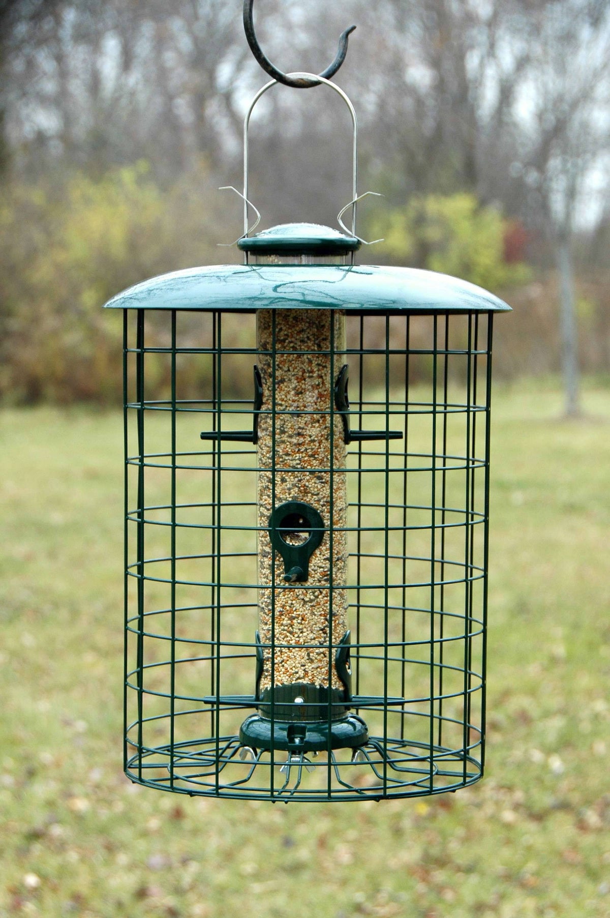 Caged 6 Port Seed Tube Feeder M528