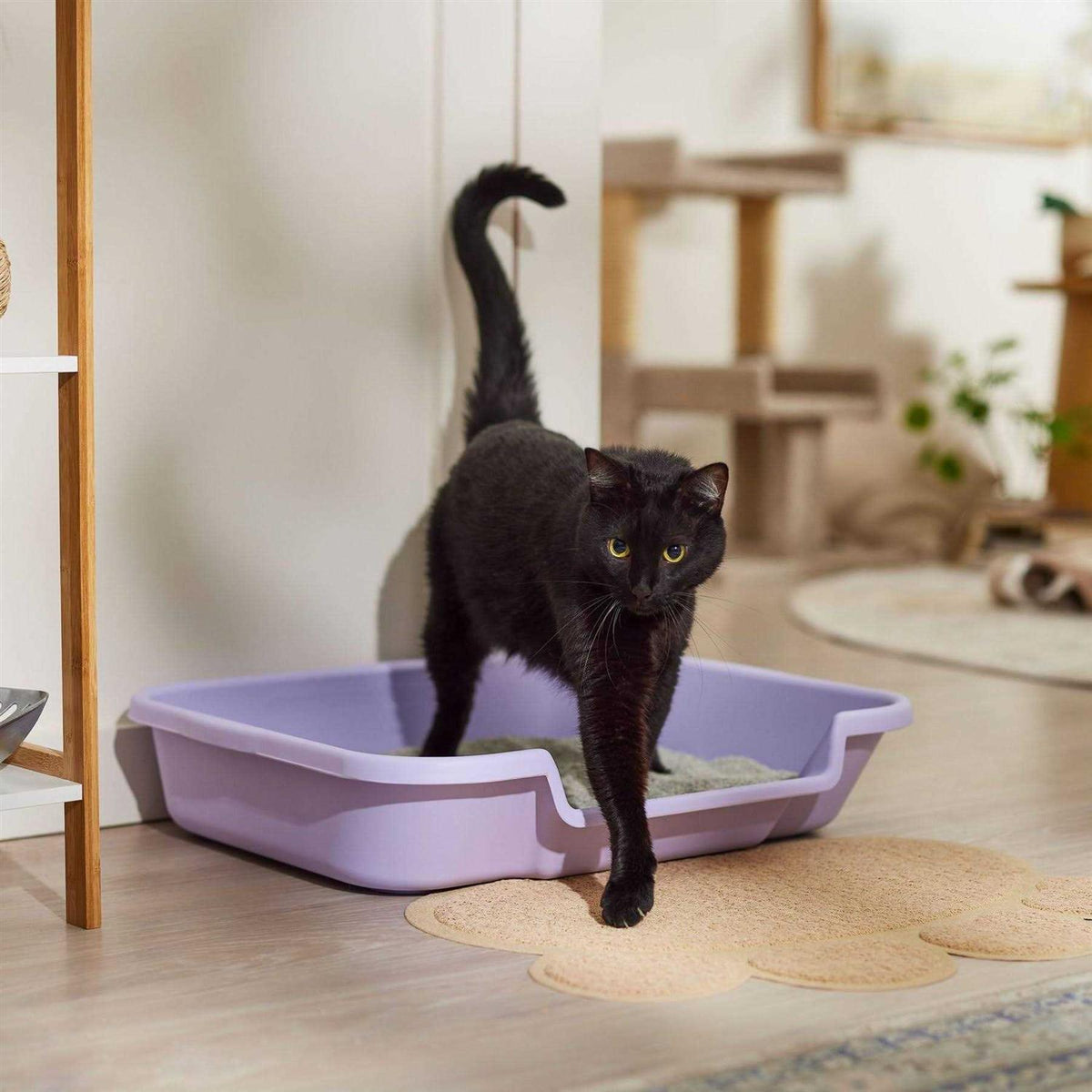 Senior Cat Litter Box X699886