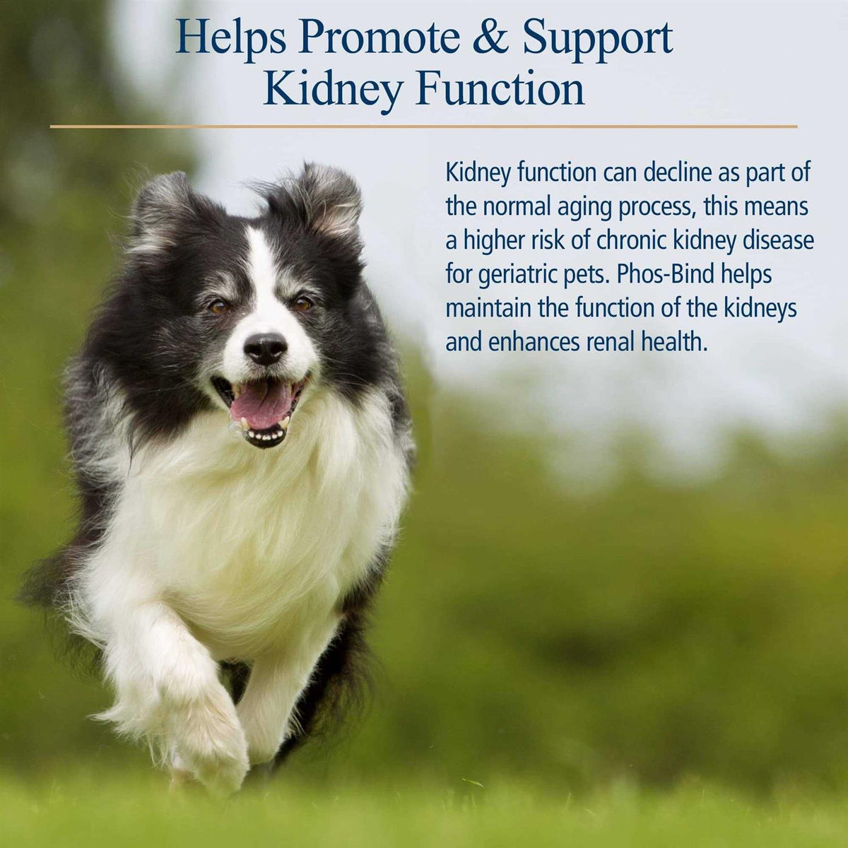 Vitamins For Pets U6337