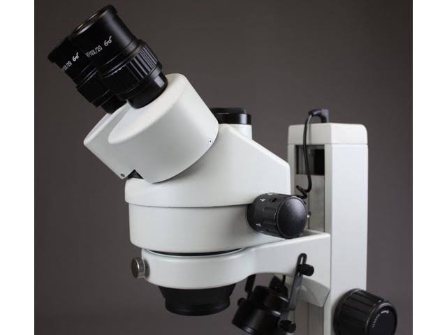 Trinocular Zoom Stereo Microscope, 10x Widefield Eyepiece, 7X-45X Magnification T29030