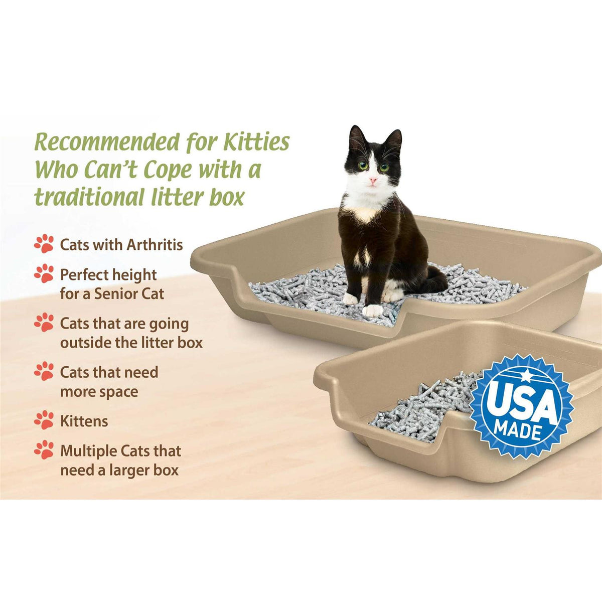 Senior Cat Litter Box X699886