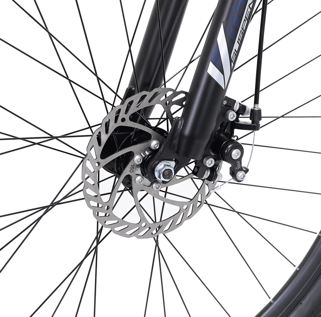 29-inch Mountain Bicycle U489591
