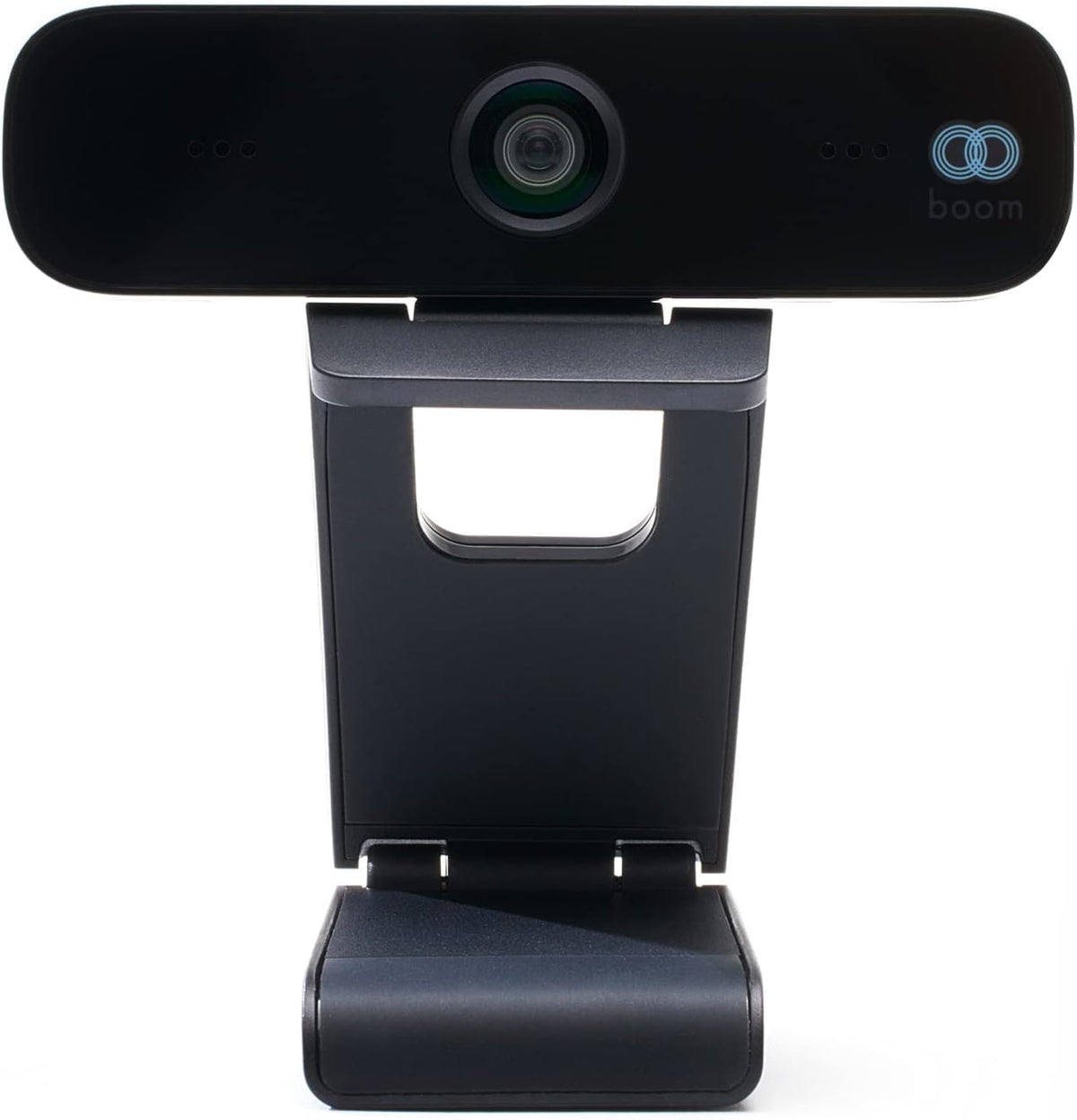 1080P HD Webcam with 2 Microphones P2847