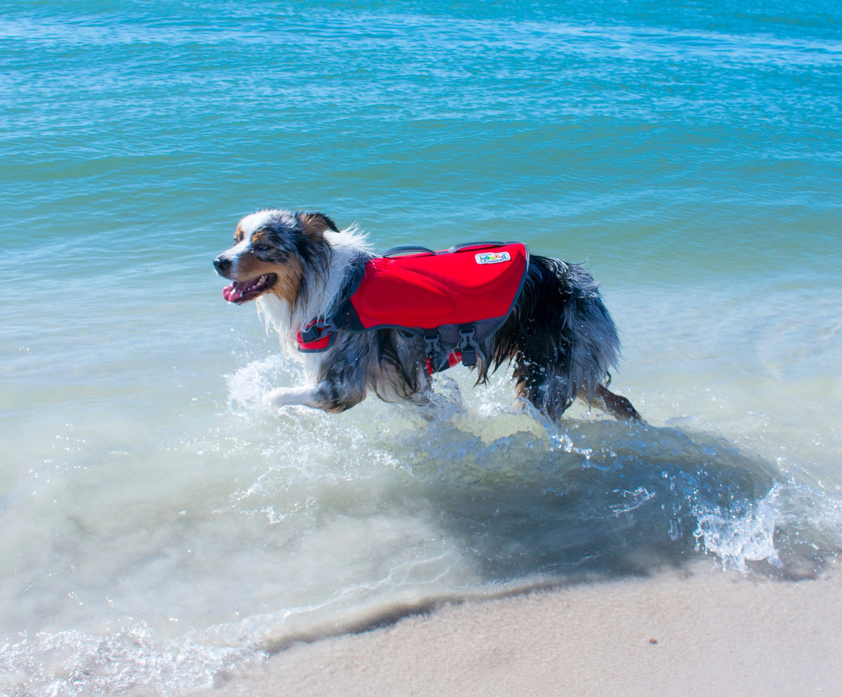 Red XL Dog Life Jacket L589
