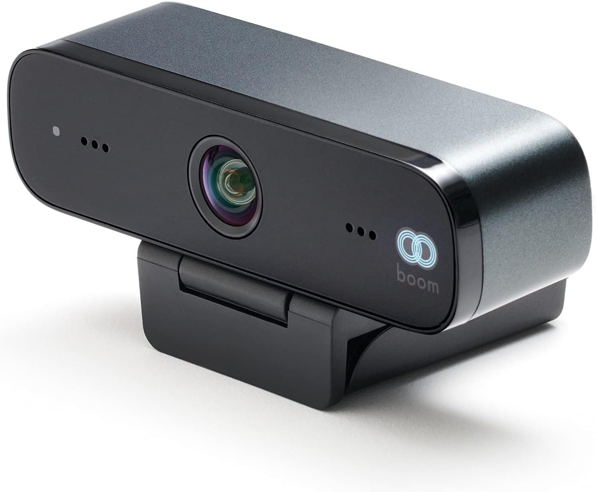 1080P HD Webcam with 2 Microphones P2847