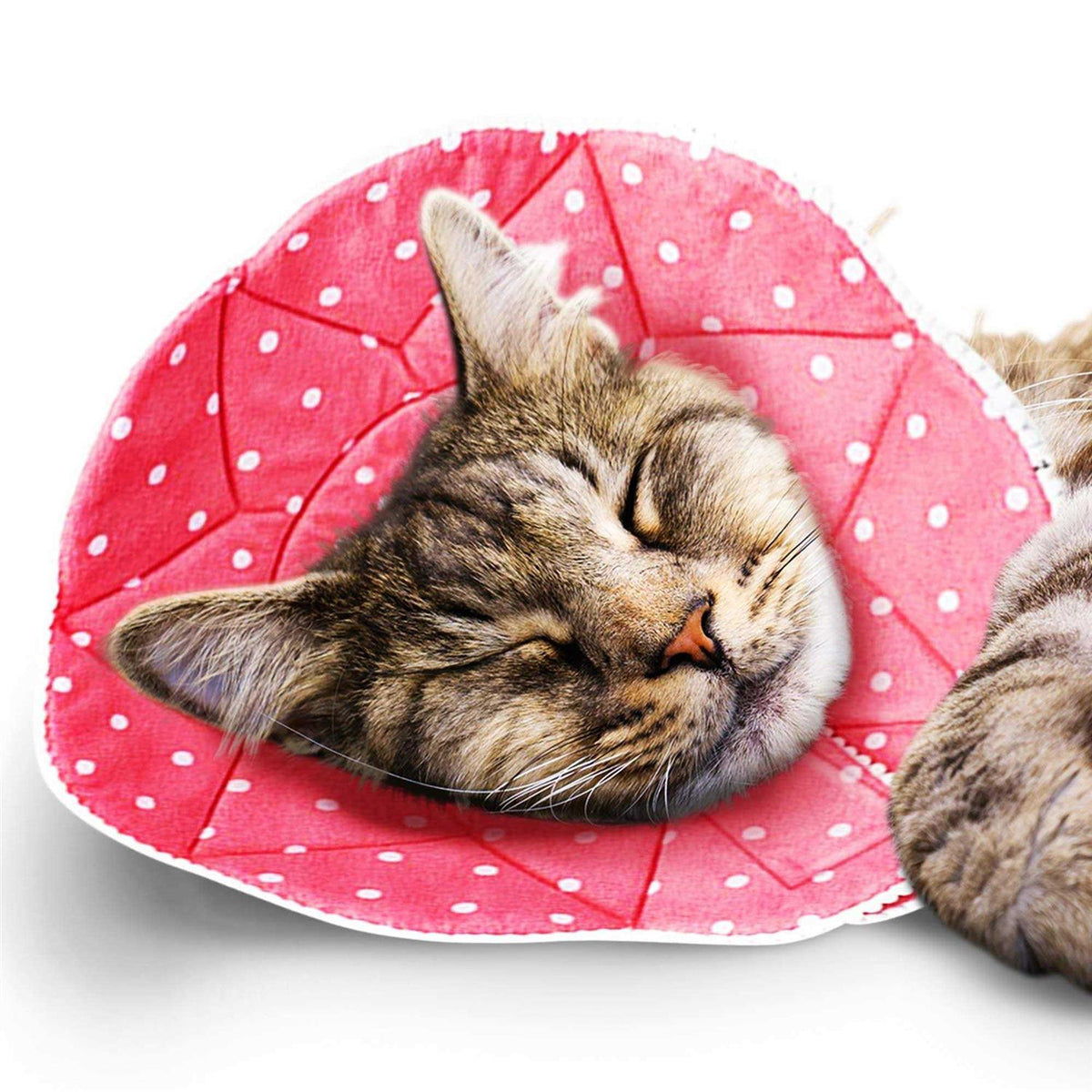 Soft e Collar for Small Dogs & Cats J95542