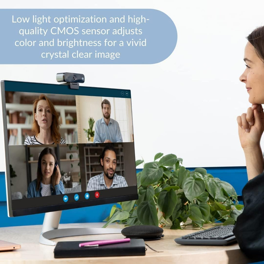 1080P HD Webcam with 2 Microphones P2847