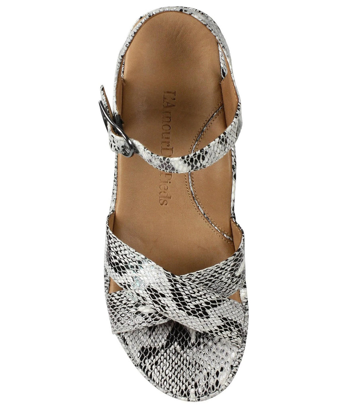 Black/White Snake 8 H536