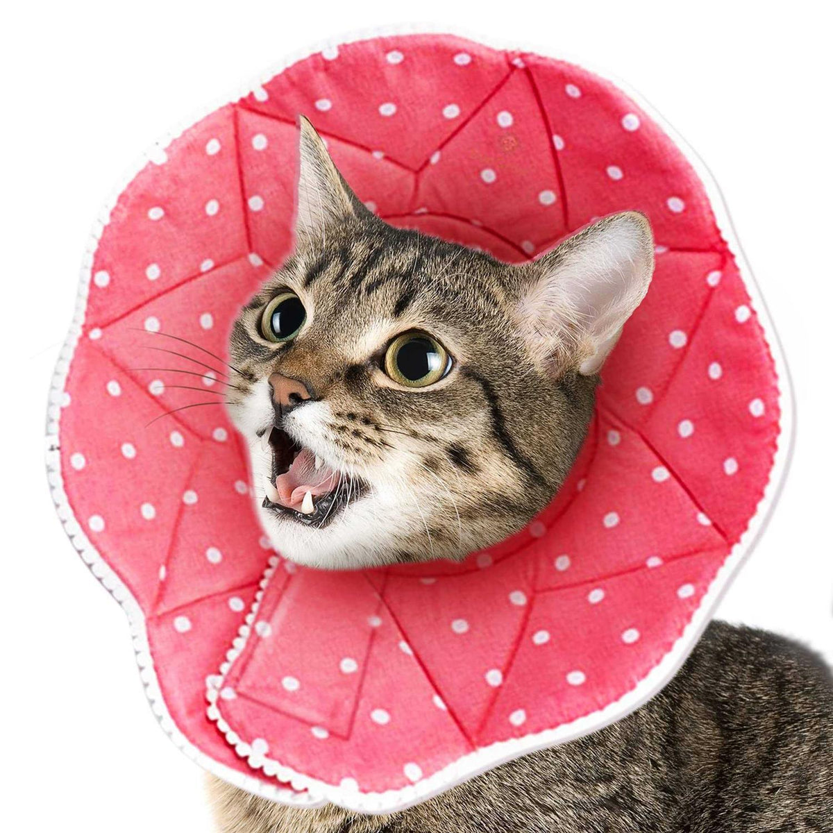 Soft e Collar for Small Dogs & Cats J95542