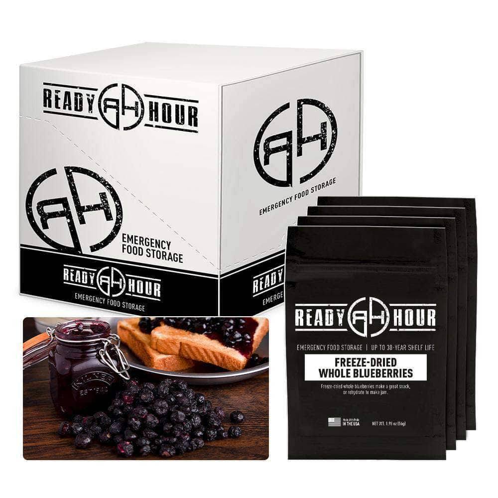 Freeze Dried Blueberries Case Pack M853334