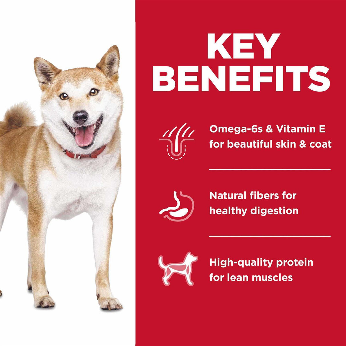 Adult Chicken Dry Dog Food M592345