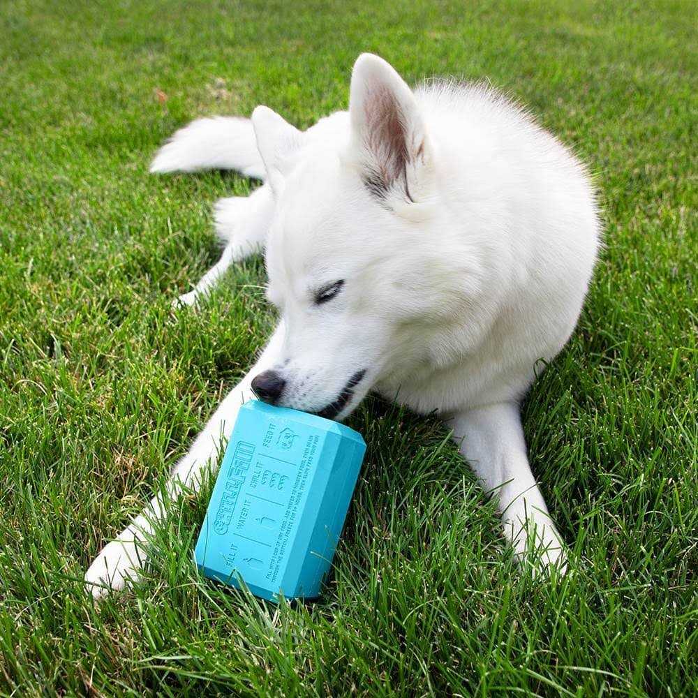 Dog Treat Toy E876
