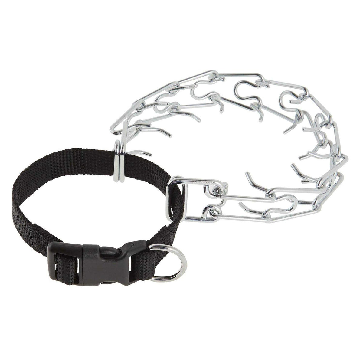 Buckle Prong Training Dog Collar S372