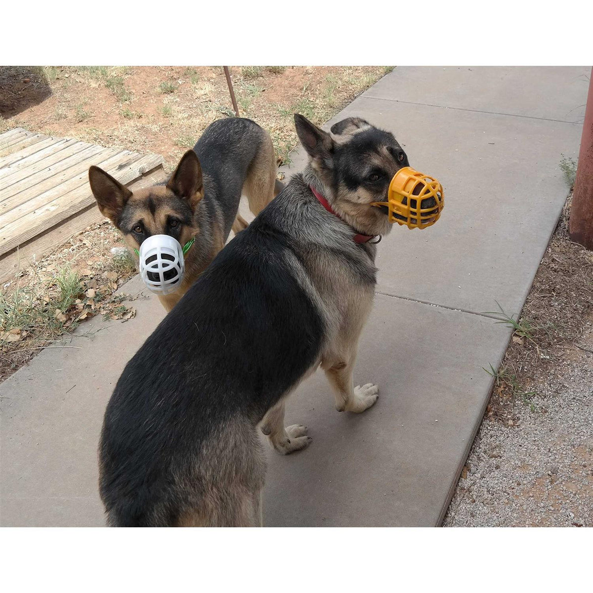 Plastic Dog Muzzle with Adjustable Headstall W932051