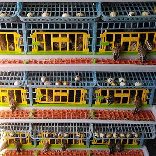 4 Layer ABS Plastic Quail Cage F639