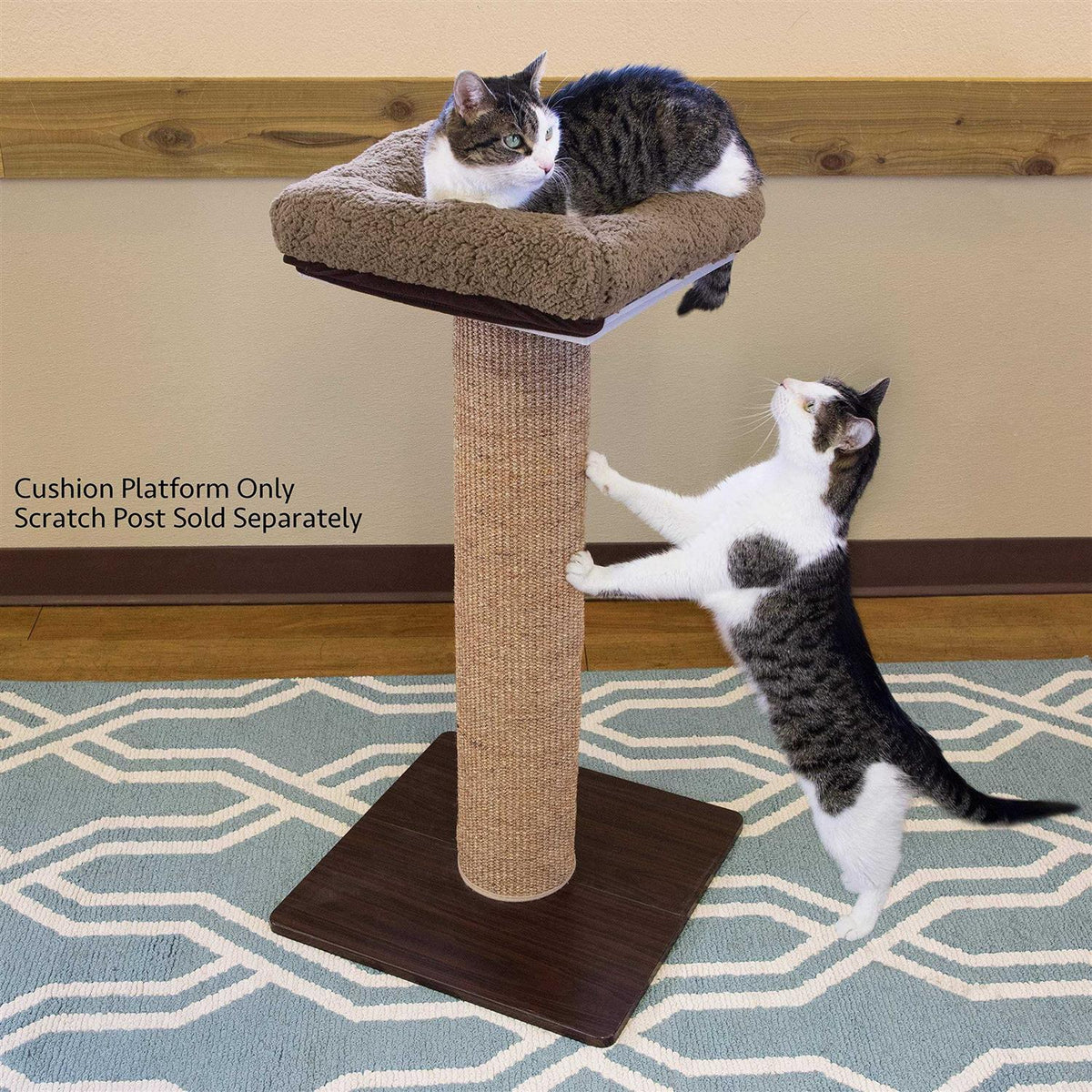 Sisal Post Cat Scratchers and Cushion C63723
