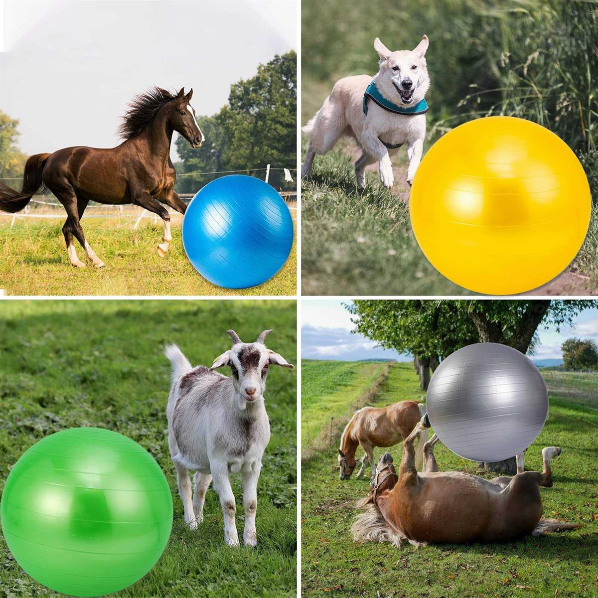 30 Inch Anti-Burst Horse Herding Ball with Pump P10973
