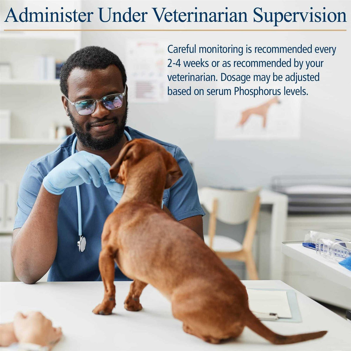 Vitamins For Pets U6337