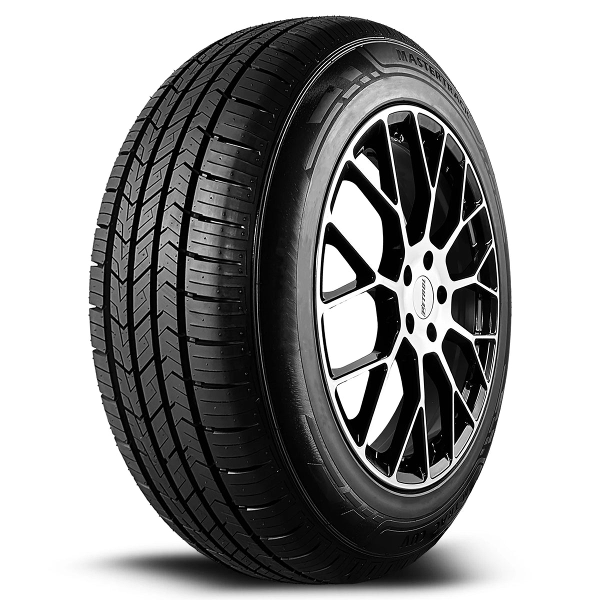 225/55R19 99V All Season Passenger Tire P255