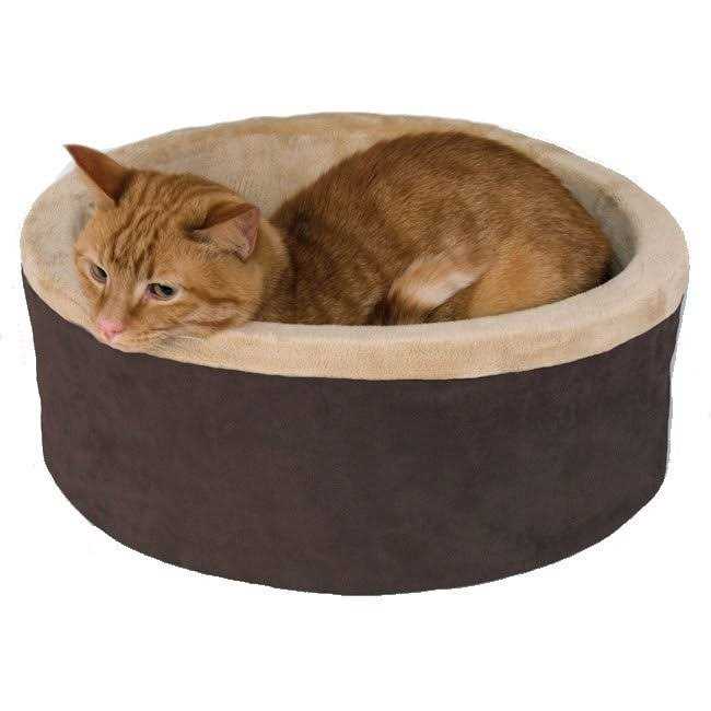 Cat Bed T809495